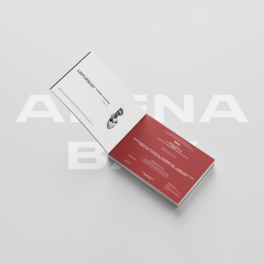 Arena Bay report shown open to the project narrative